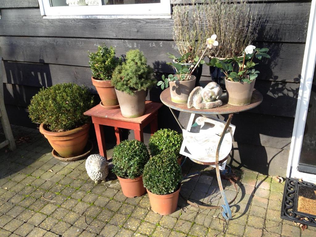 D'Ouwe Stal Bed & Breakfast Axel Ruang foto